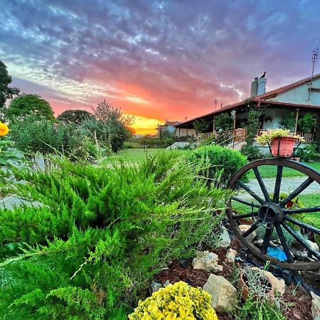 Вилла Ivonnis Garden Mesimvria  Экстерьер фото