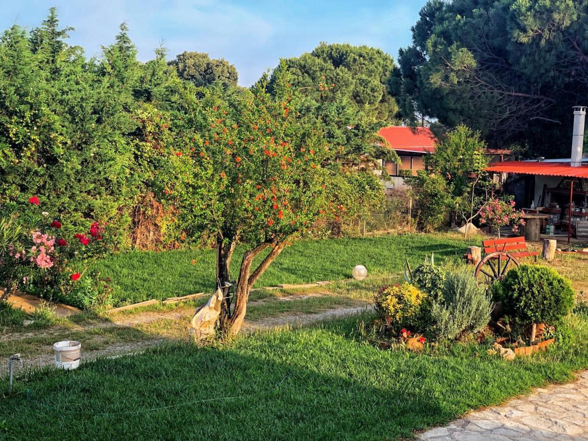 Вилла Ivonnis Garden Mesimvria  Экстерьер фото