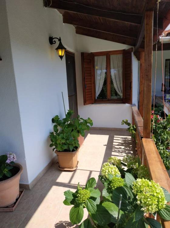 Вилла Ivonnis Garden Mesimvria  Экстерьер фото