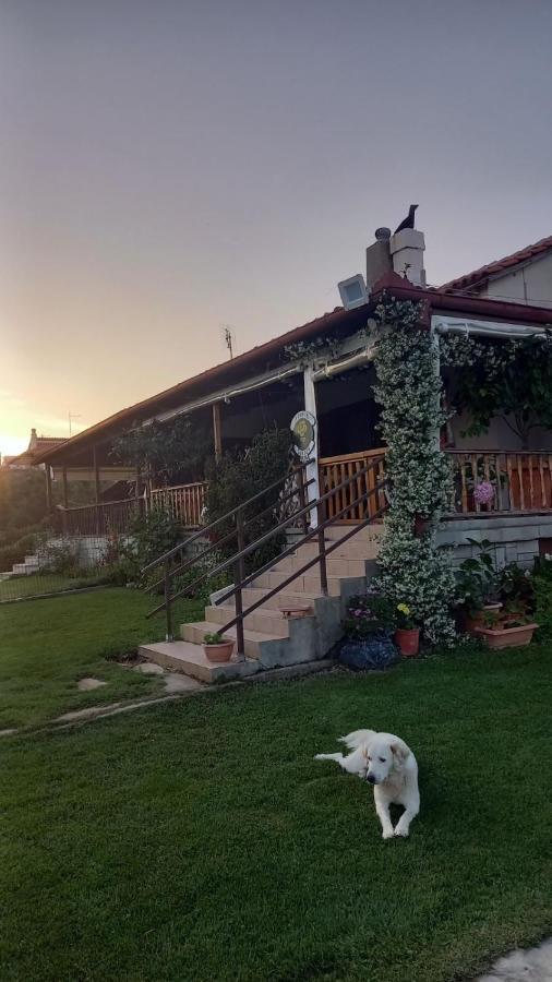 Вилла Ivonnis Garden Mesimvria  Экстерьер фото