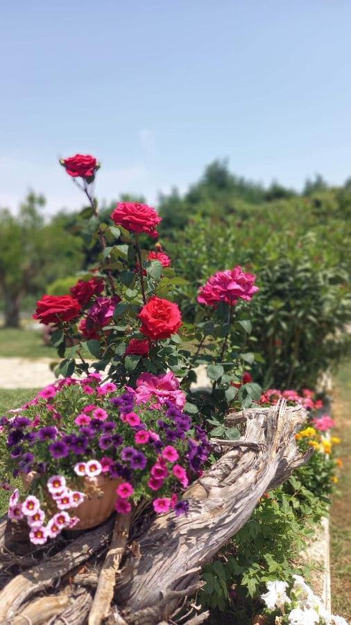 Вилла Ivonnis Garden Mesimvria  Экстерьер фото