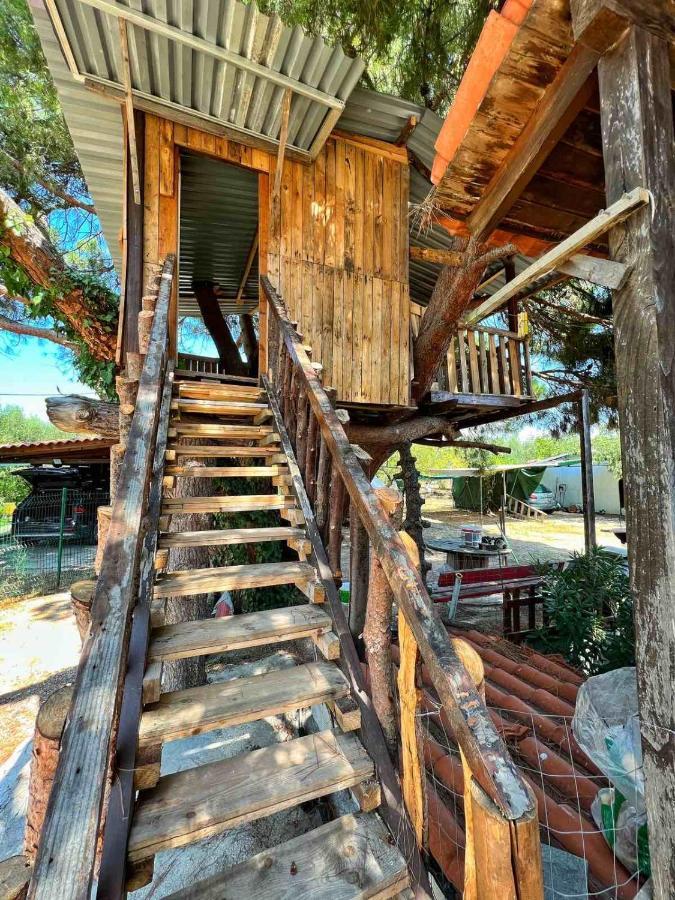 Вилла Ivonnis Garden Mesimvria  Экстерьер фото