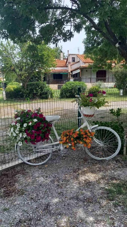 Вилла Ivonnis Garden Mesimvria  Экстерьер фото